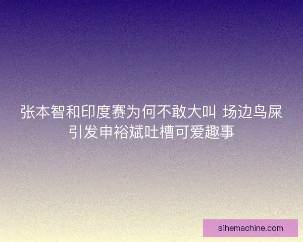 张本智和印度赛为何不敢大叫 场边鸟屎引发申裕斌吐槽可爱趣事