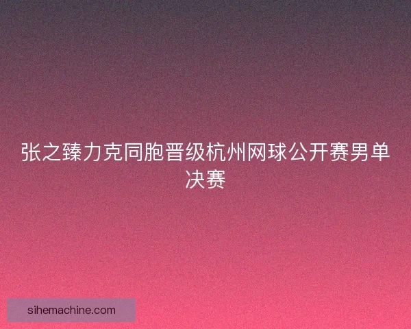 张之臻力克同胞晋级杭州网球公开赛男单决赛