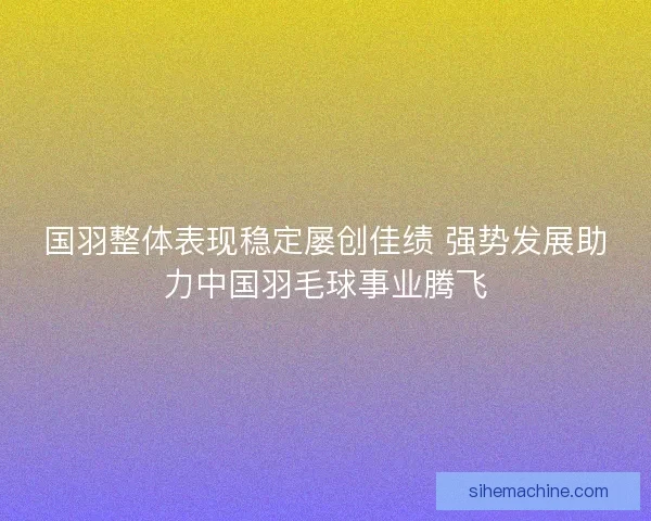 国羽整体表现稳定屡创佳绩 强势发展助力中国羽毛球事业腾飞