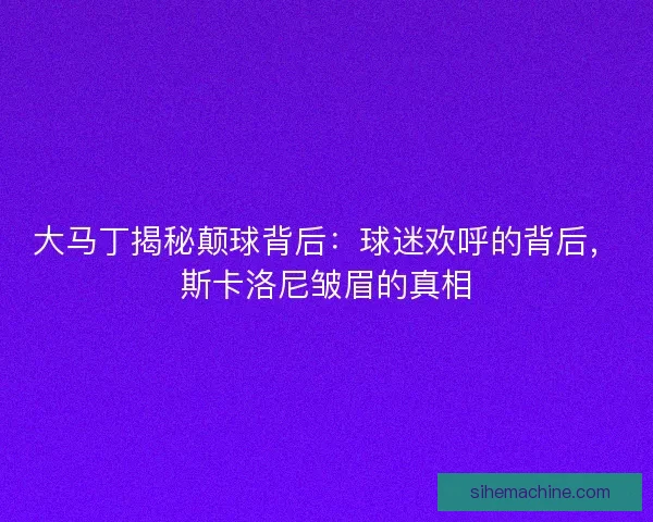 大马丁揭秘颠球背后：球迷欢呼的背后，斯卡洛尼皱眉的真相