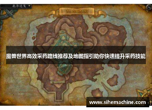 魔兽世界高效采药路线推荐及地图指引助你快速提升采药技能